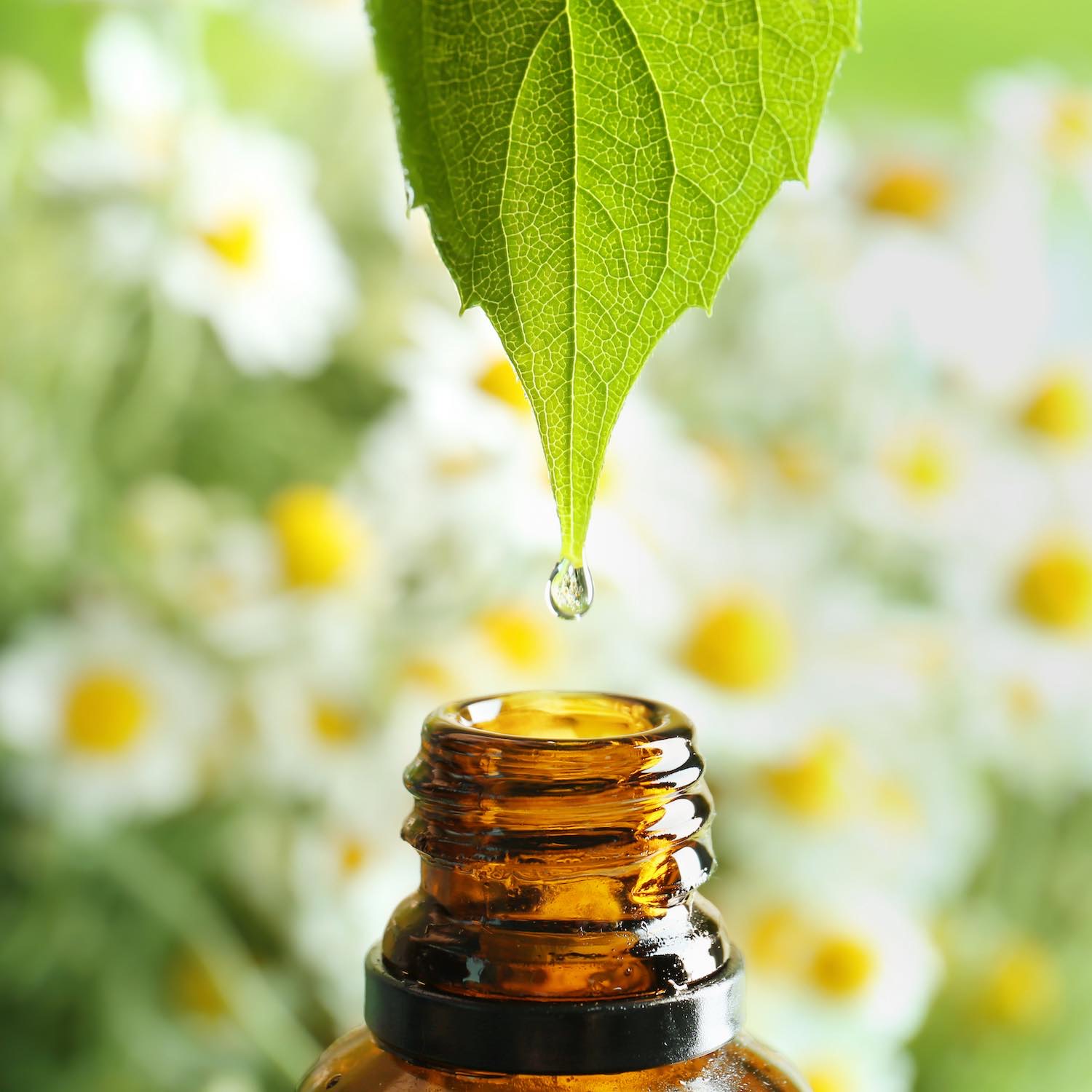 Aromathérapie, Pharmacie Vilette, Halluin